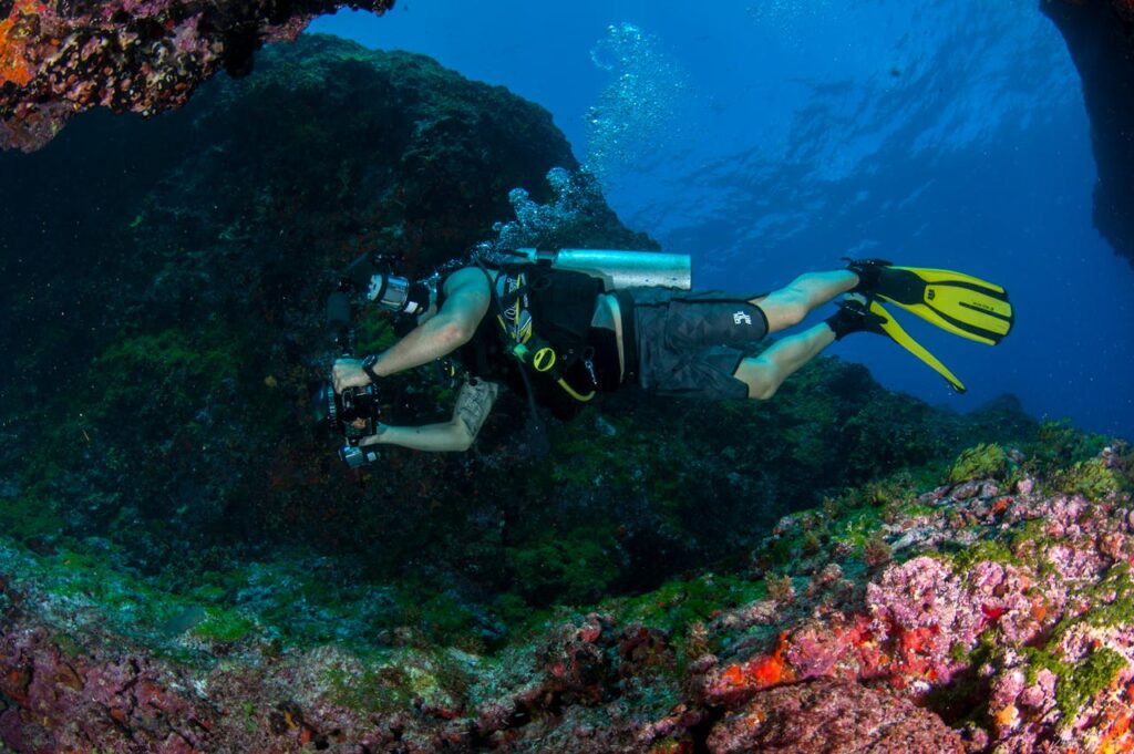 man swimming through live rocks