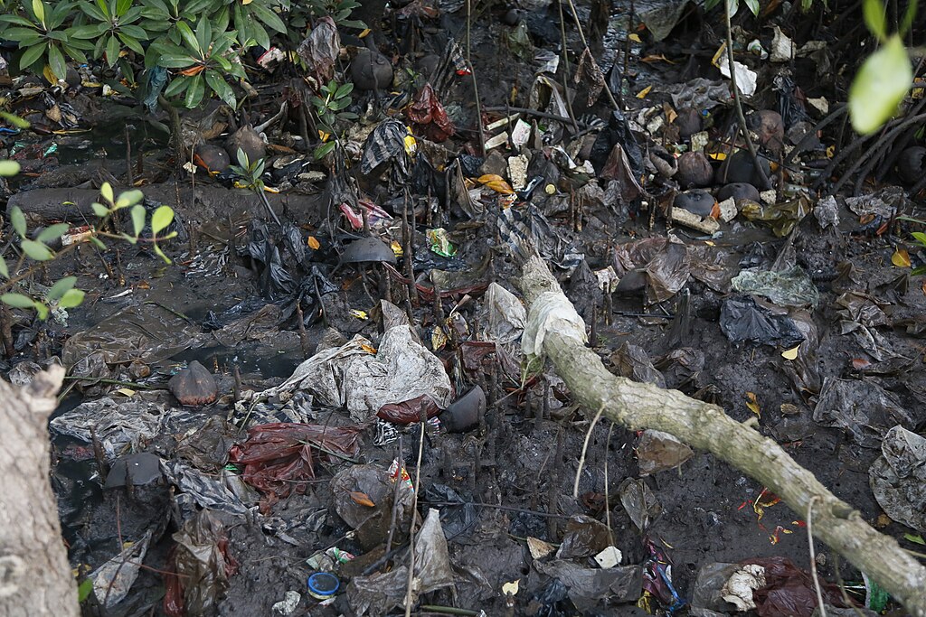 low tide in a mangrove area showing the accumulation of plastic waste