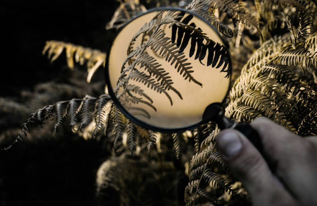 a hand holding a magnifying glass
