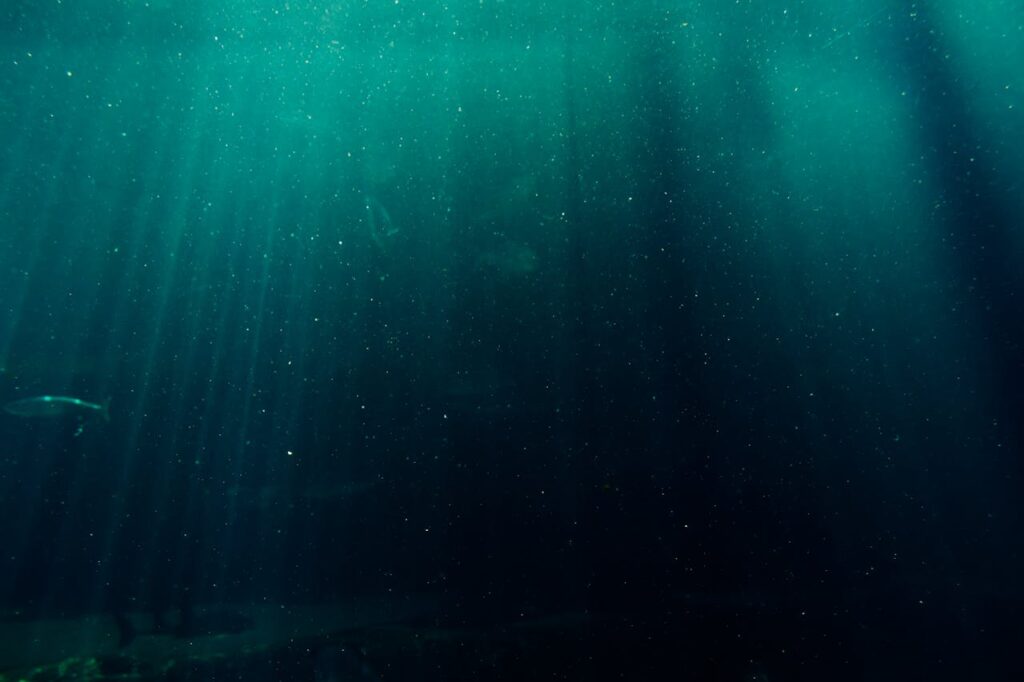 mysterious-looking photo under the sea