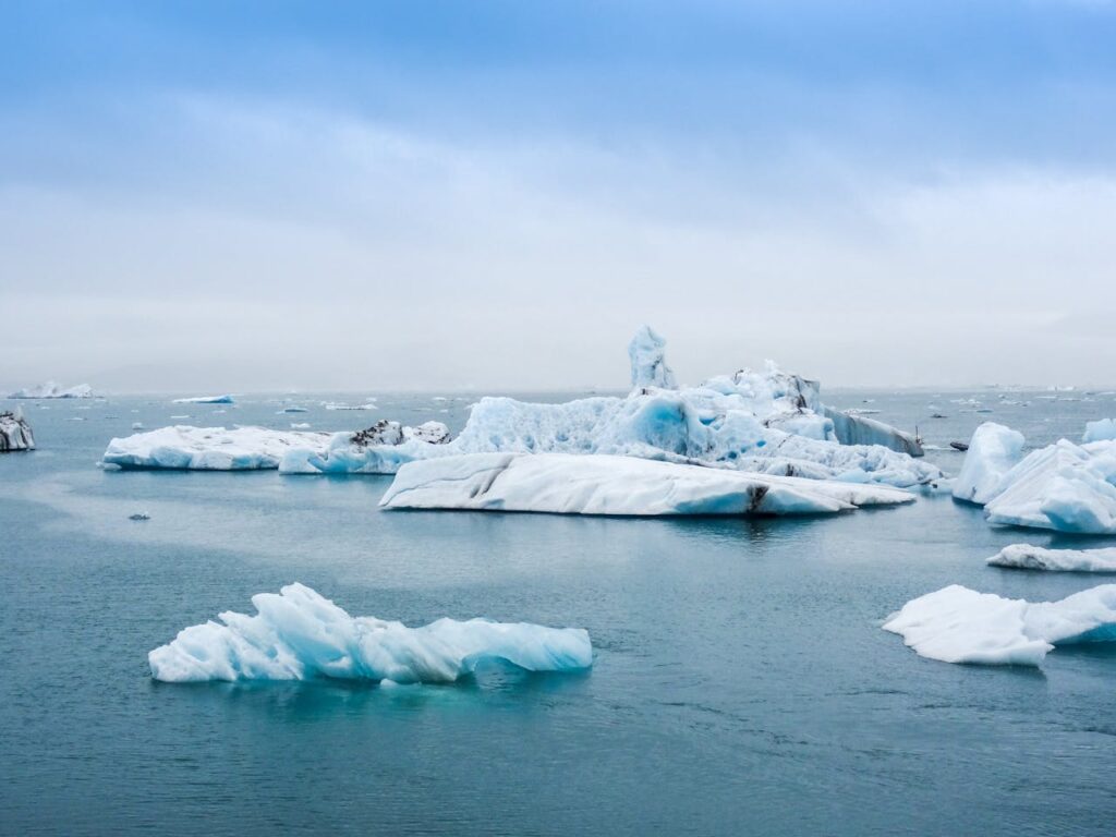 small icebergs floating on water