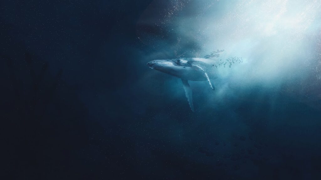 Blue whale