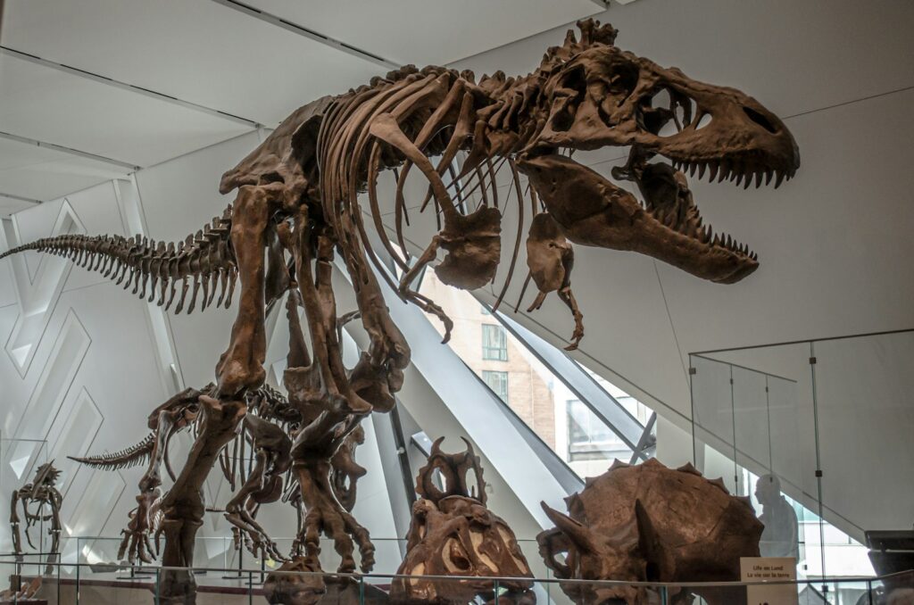 t rex skeleton on glass roof