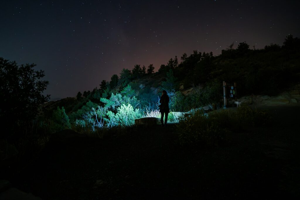 A person standing on a hill at night