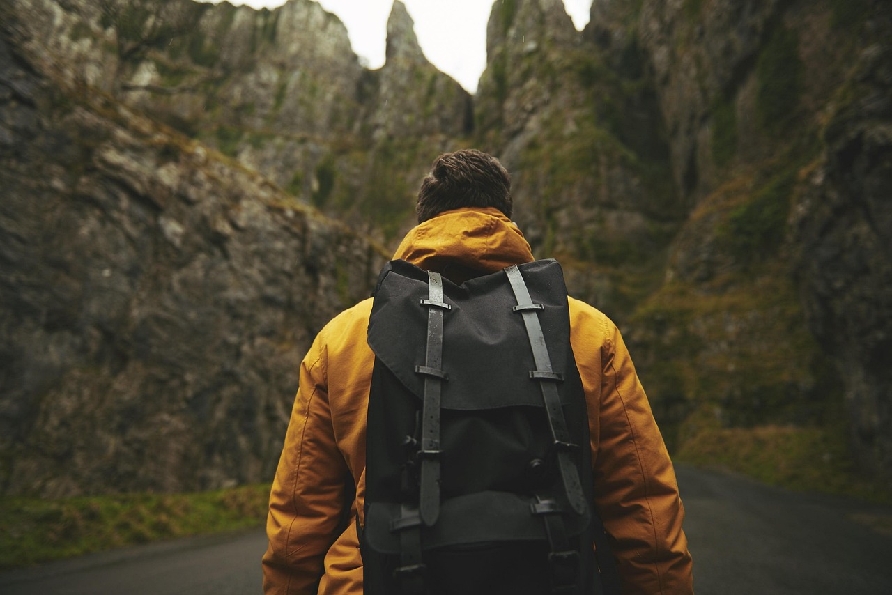 Prevention - Making Noise and Traveling Smart (image credits: pixabay)