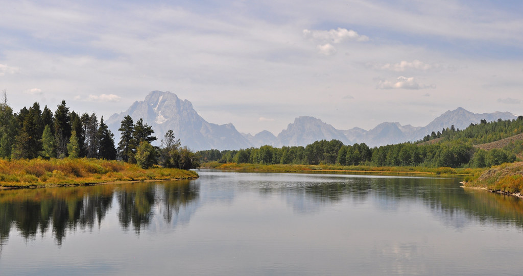 Conclusion - Respecting the Wild (image credits: flickr)
