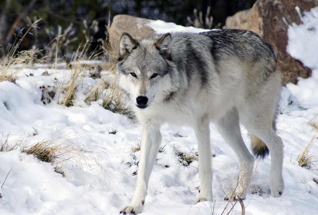 Prepare for Future Encounters (image credits: flickr)