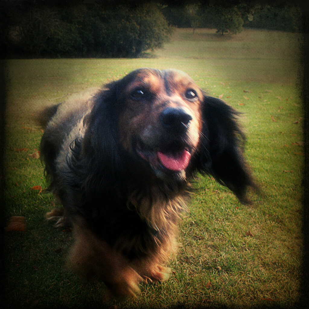 Intuitive Awareness and Heightened Senses (image credits: flickr)