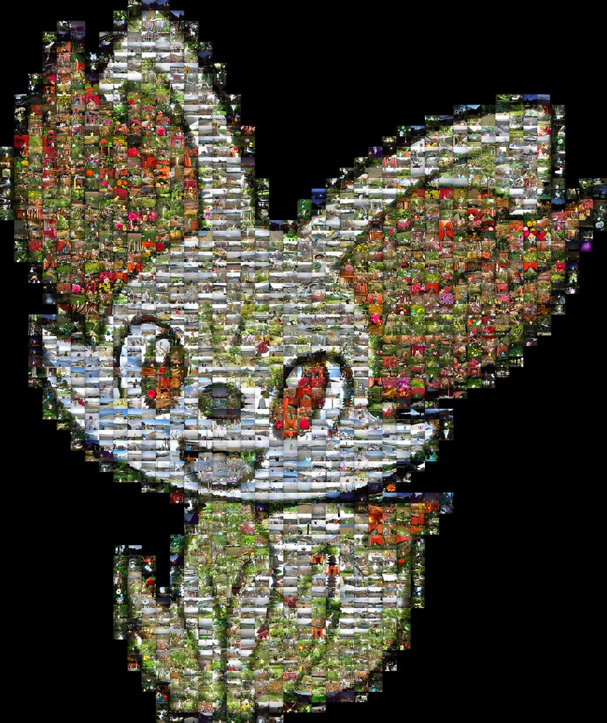 The Fennec Fox Connection - Fennekin's Desert Heritage (image credits: flickr)