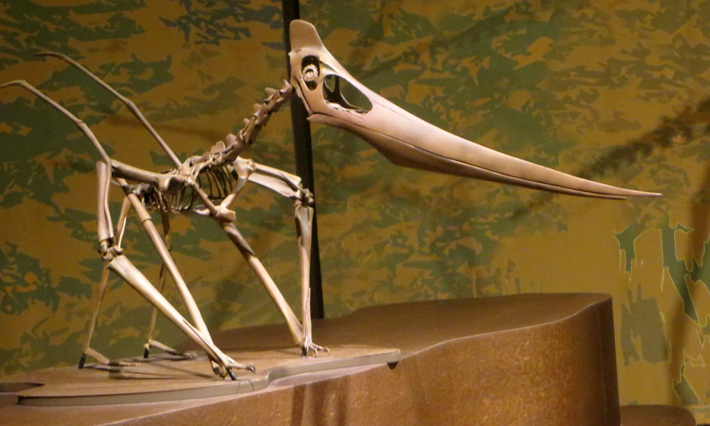 Thunderbirds: Ancient Memory of Massive Raptors (image credits: flickr)