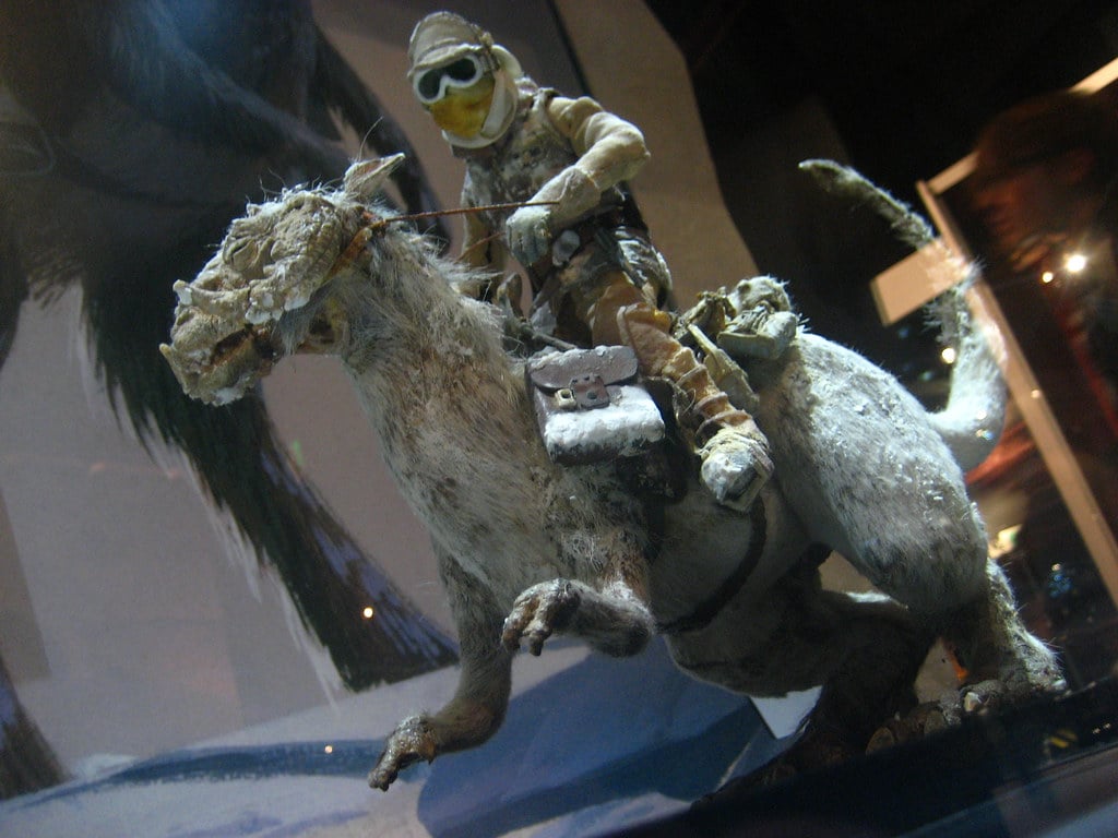 Tauntauns: Kangaroo-Lizard Hybrids (image credits: flickr)
