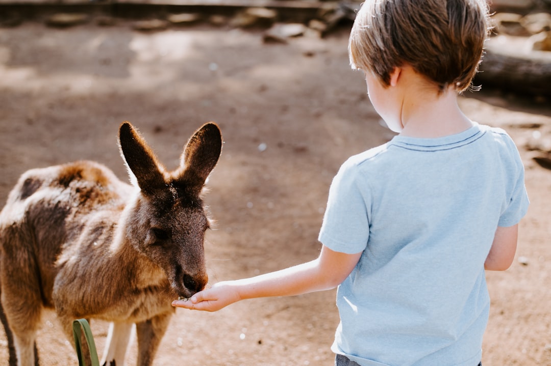 Building Resilience Through Animal Stories (image credits: unsplash)