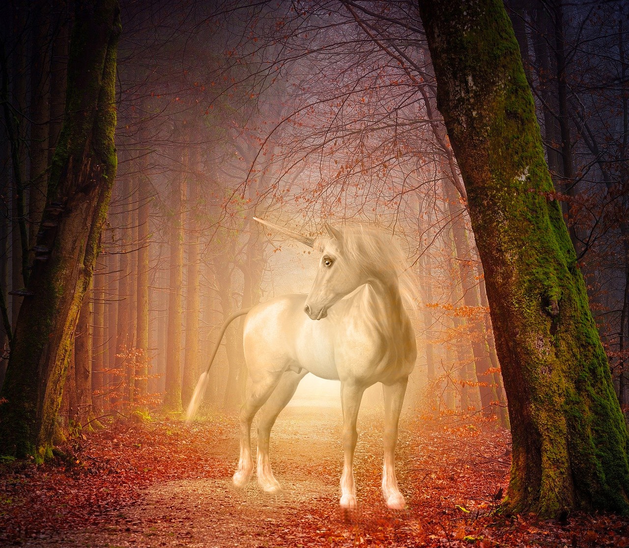 Unicorns: The Truth Behind the Single Horn (image credits: pixabay)