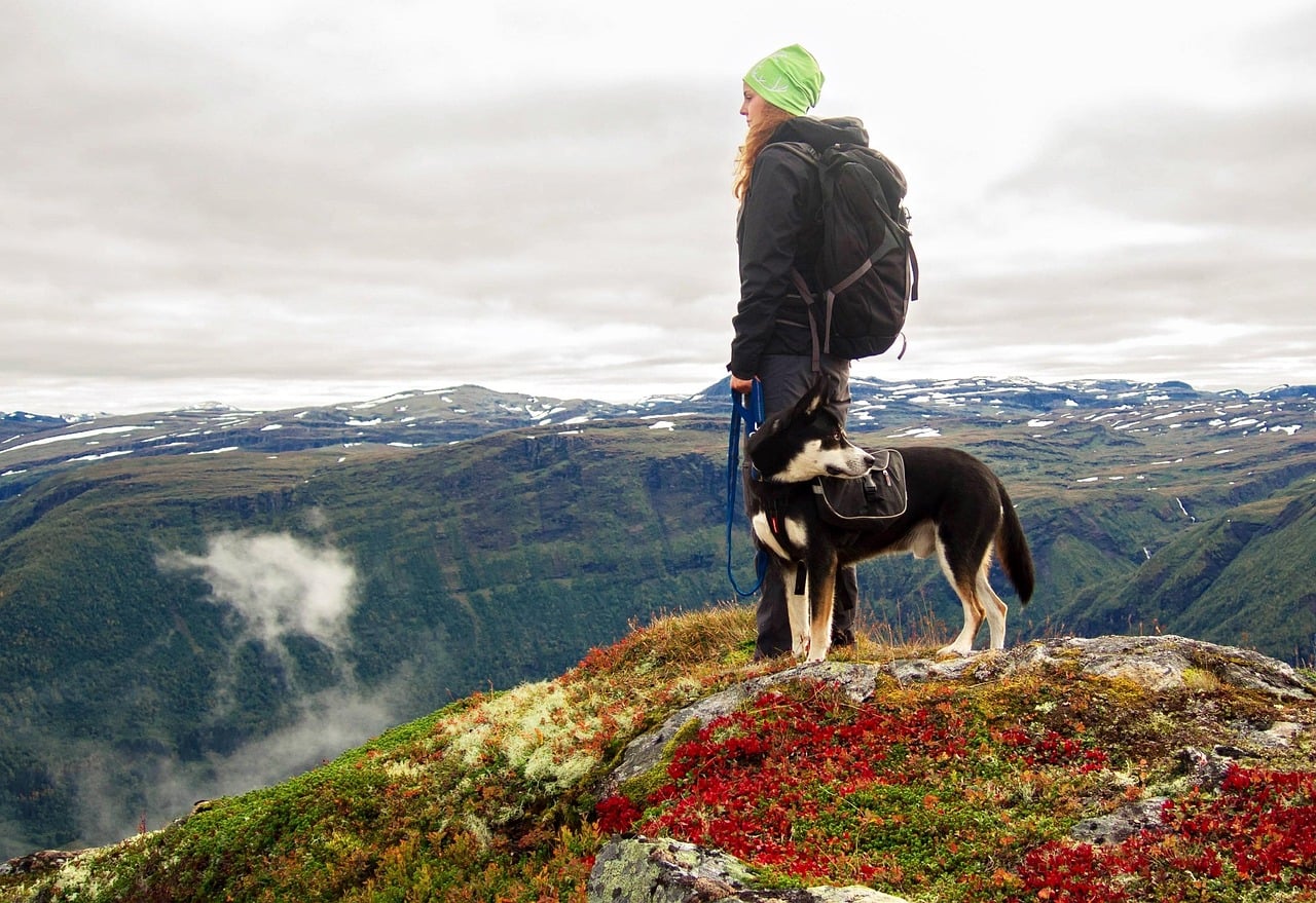The Adventure Seeker: High-Energy Companions for Outdoor Thrills (image credits: pixabay)