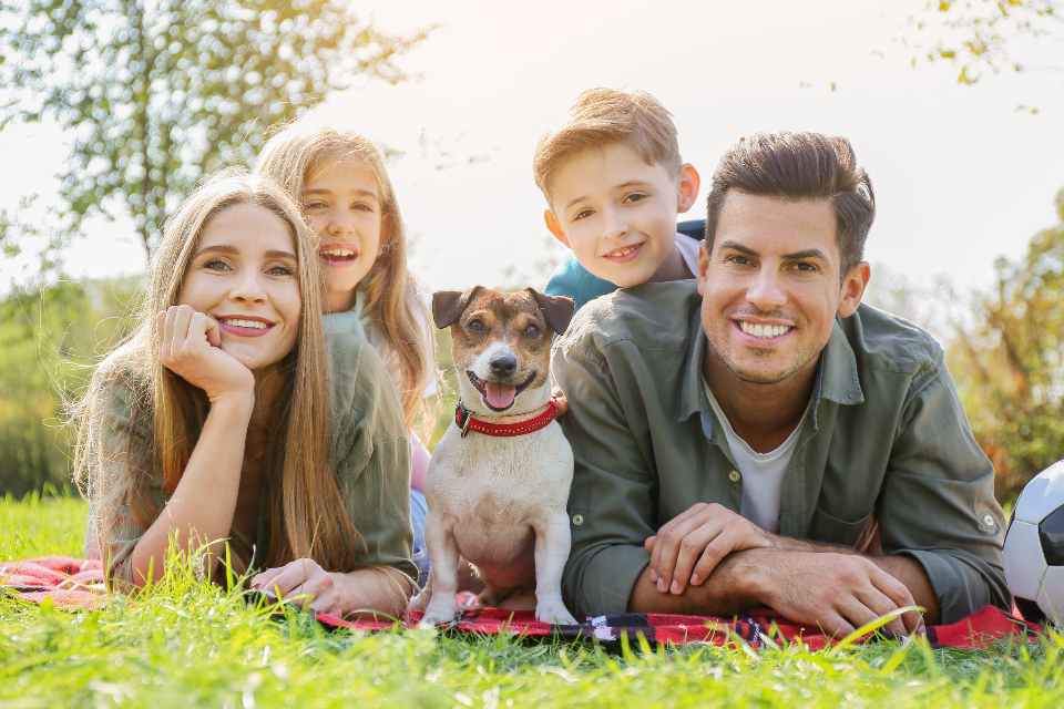 The Group Traveler: Social Pets for Family and Friend Adventures