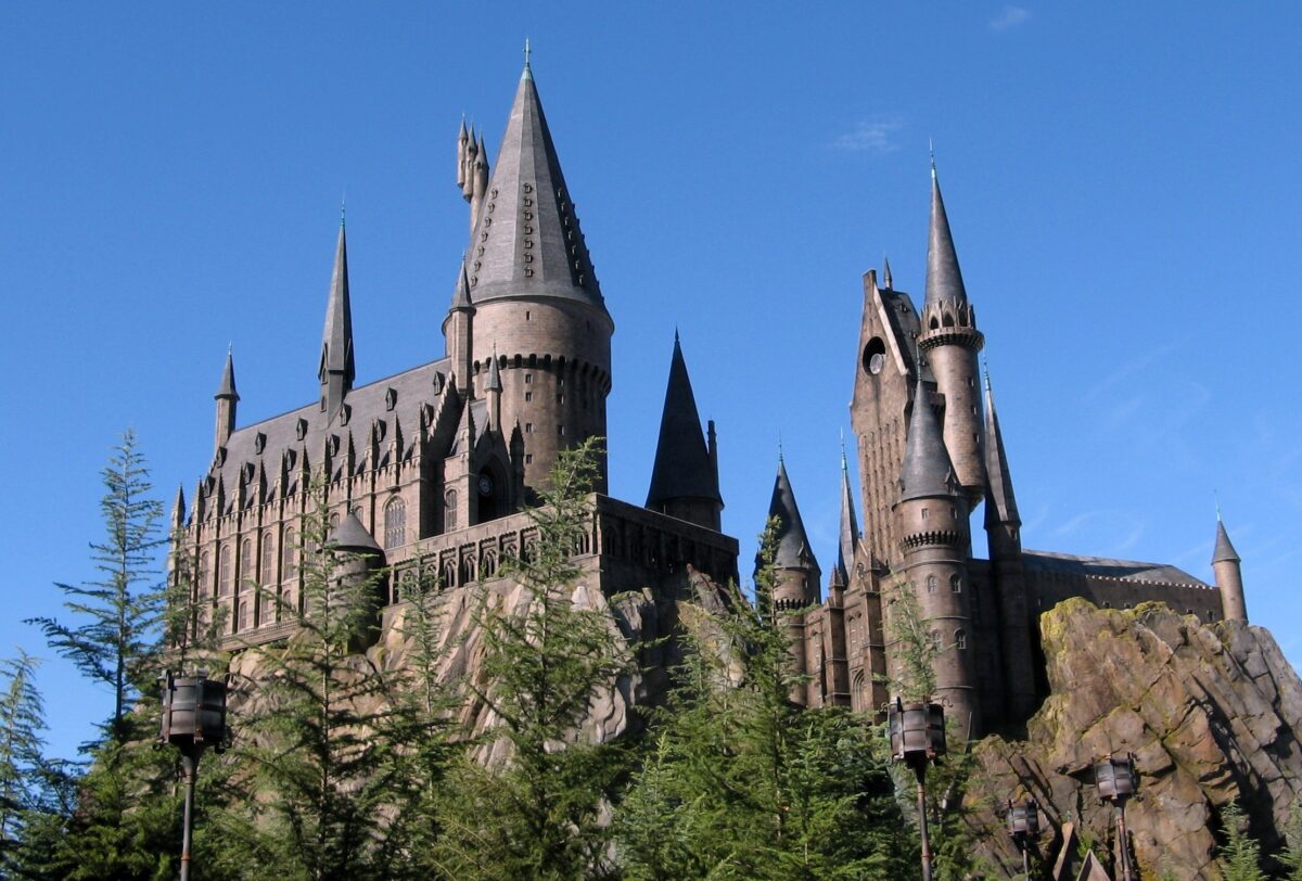 Ravenclaw Wisdom: Intelligence and Learning in Wolf Culture
