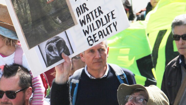 Shutdown Chaos and a Sneaky Bill: Why U.S. Wildlife Faces a Perfect Storm