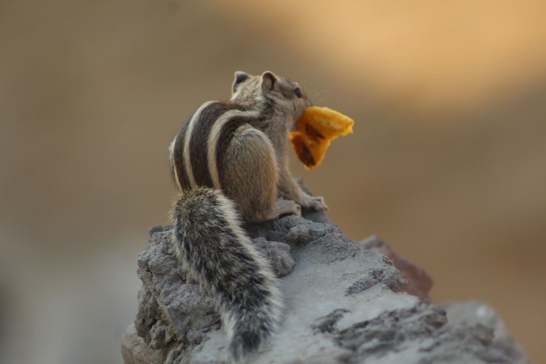 Conclusion: Embracing Your Snack Spirit (image credits: unsplash)