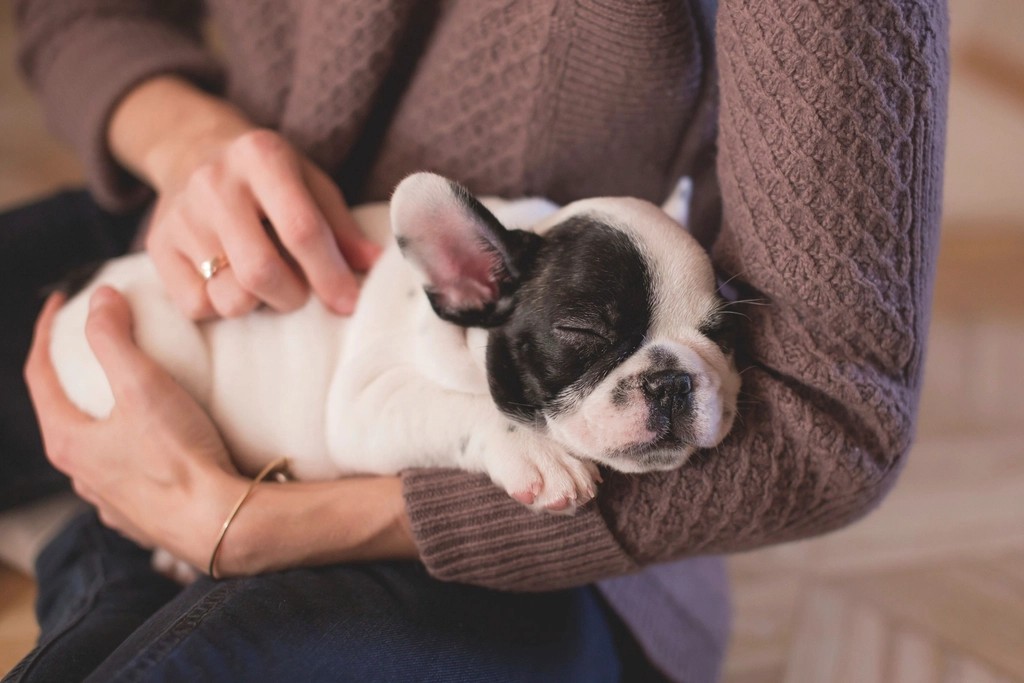 Exploring Palliative and Hospice Care Options (image credits: rawpixel)