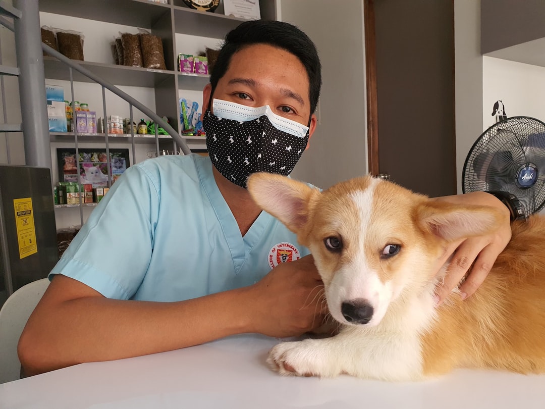 Working with Your Veterinary Team (image credits: unsplash)