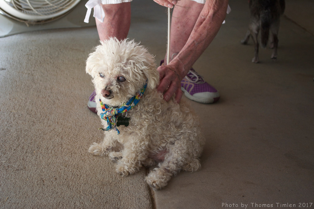 Considering In-Home vs. Clinic Care (image credits: flickr)
