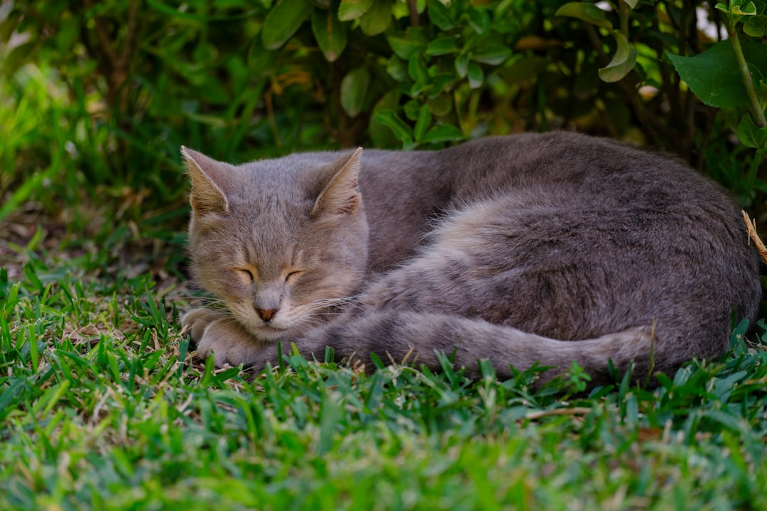 Their Body Temperature Drops Noticeably (image credits: unsplash)