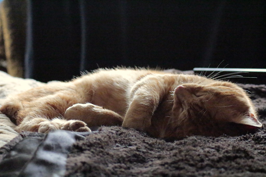 Conclusion (image credits: flickr)