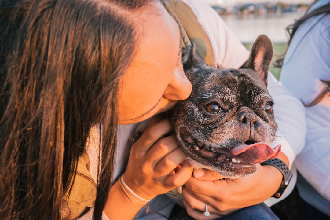 Why Veterinarians Encourage Owner Participation in the Process (image credits: unsplash)