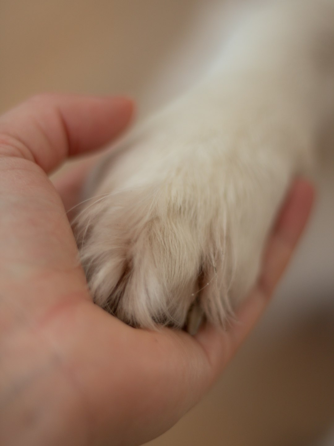 Creating Lasting Memories Through Final Physical Connection (image credits: unsplash)
