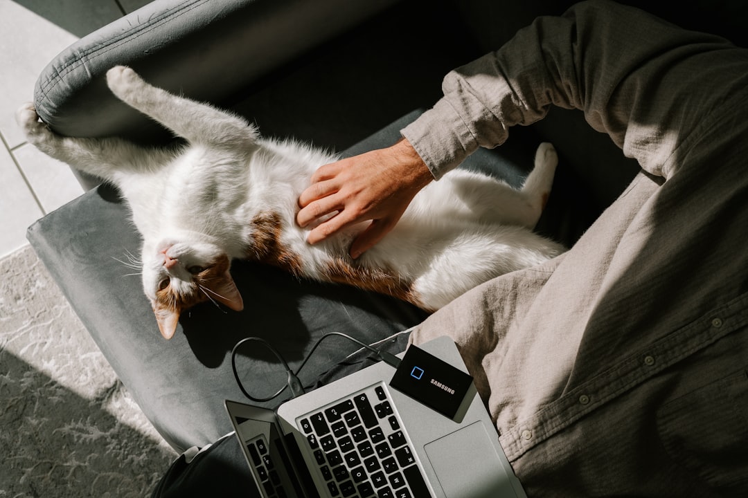 Sudden Memories That Fill Your Heart (image credits: unsplash)