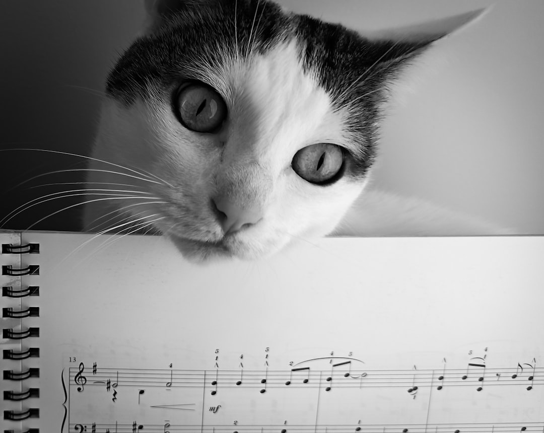 Songs and Special Numbers That Speak to Your Soul (image credits: unsplash)