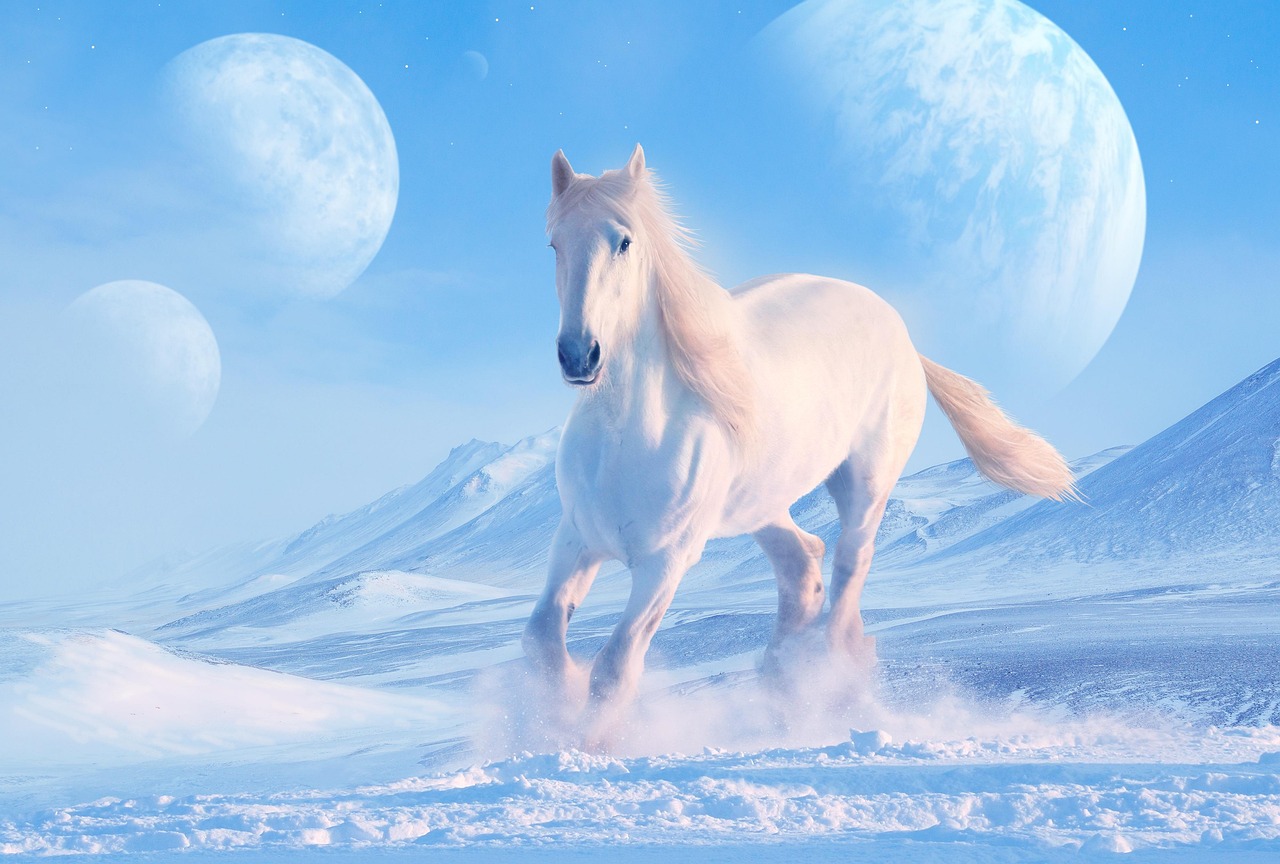 Maximus the Noble White Horse - Based on Andalusian Strength (image credits: pixabay)
