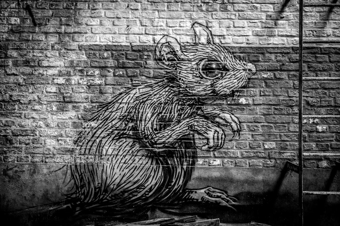 Rats: The Ultimate Urban Survivors (image credits: unsplash)