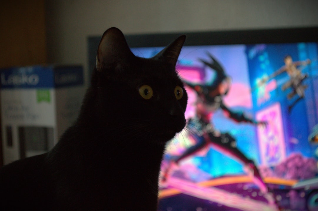 House Cats: The Resilient Predators (image credits: unsplash)