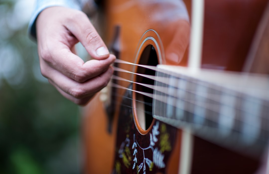 Seasonal Adaptations and Musical Moods (image credits: unsplash)