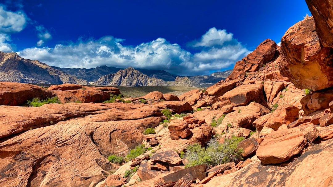 The Desert Southwest - Arizona Strip and Red Rock Country (image credits: unsplash)