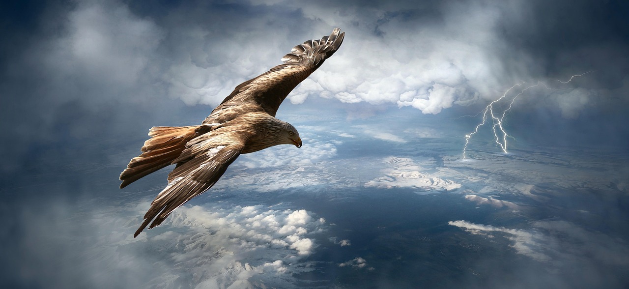 The Storm-Riding Eagle: Thriving in Uncertainty (image credits: pixabay)