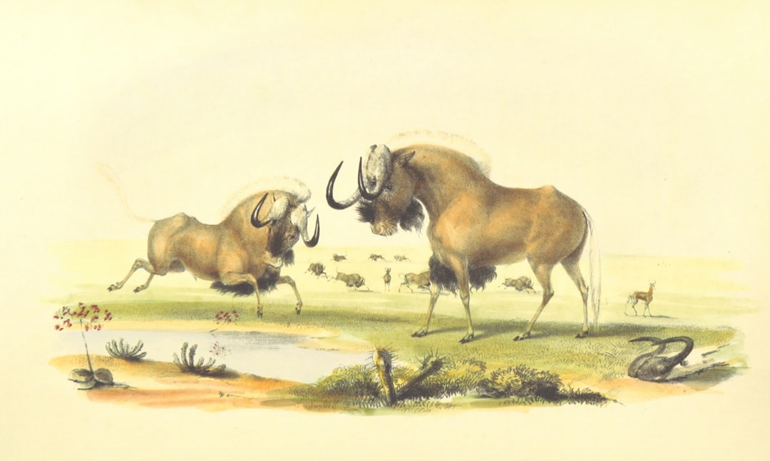 Aurochs - The Mighty Ancestors of Modern Cattle (image credits: unsplash)