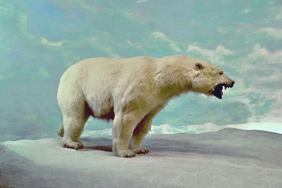 Ice Age Megafauna - A Vanished World (image credits: unsplash)