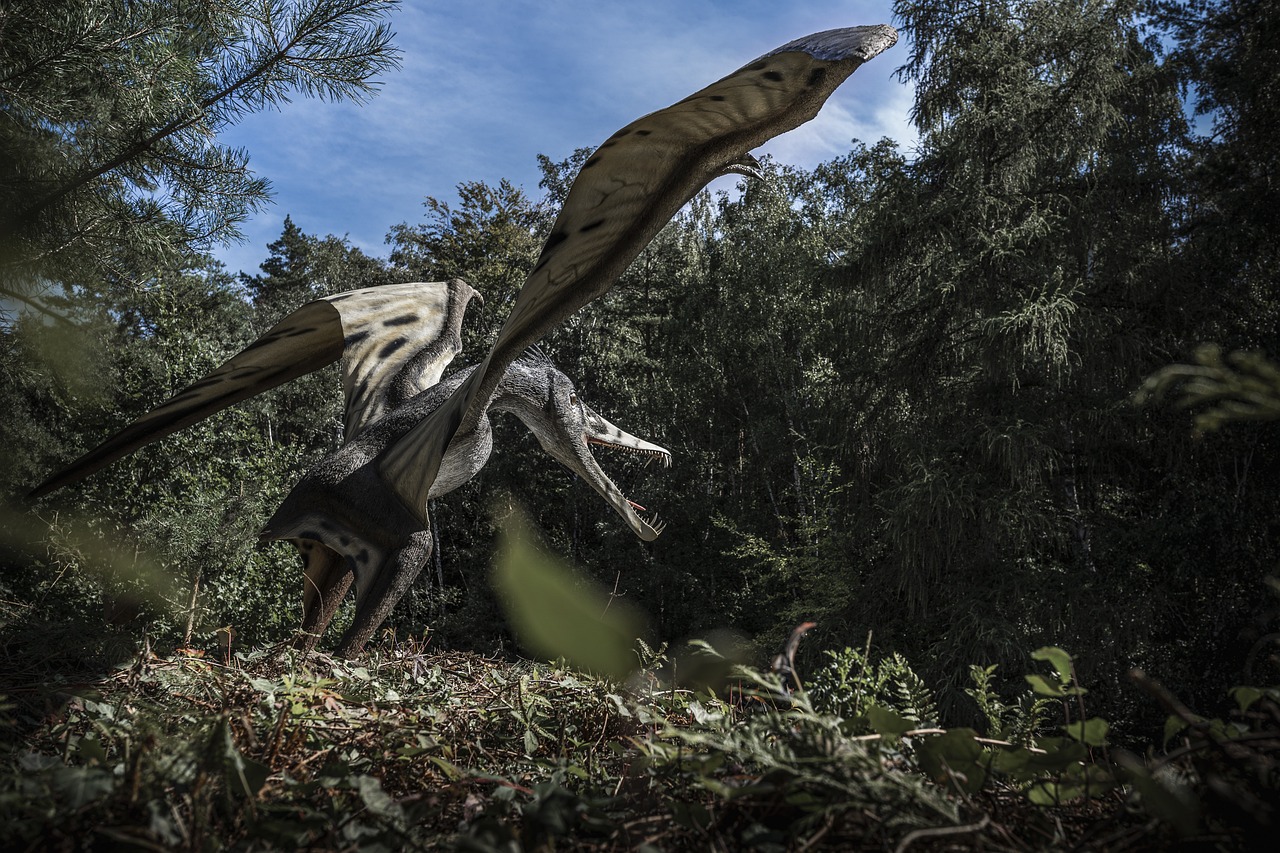 The Real Dragons of Ancient Skies (image credits: pixabay)