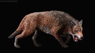 The Real Animals That Could Exist in the Game of Thrones World