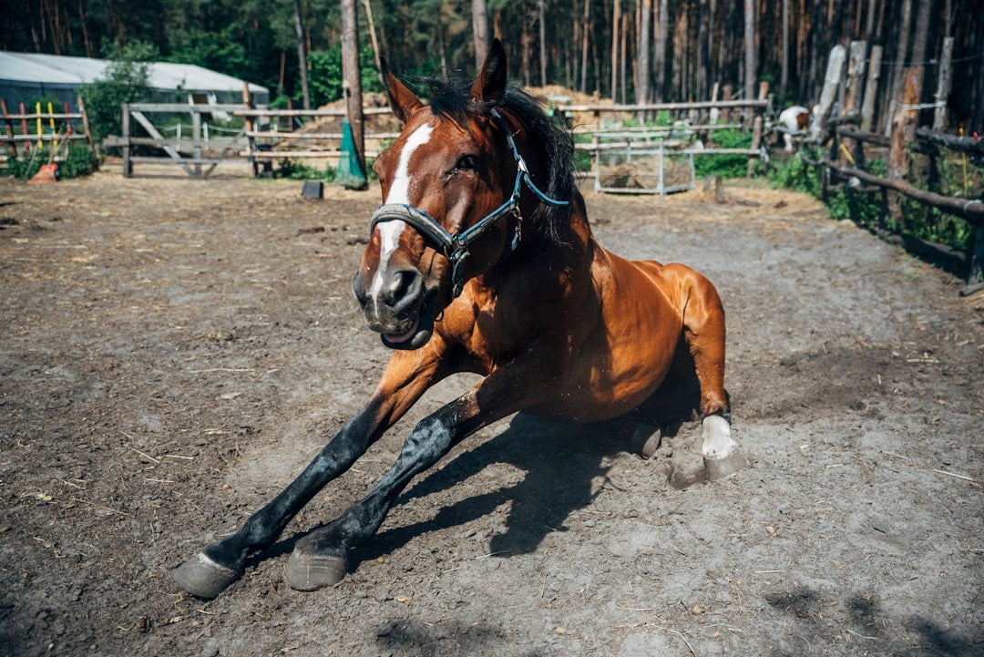 Complete Loss of Mobility and Independence (image credits: unsplash)
