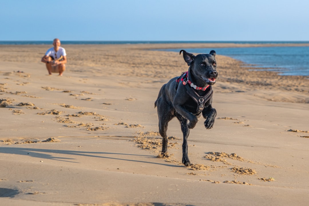Regular Exercise and Outdoor Adventures (image credits: unsplash)