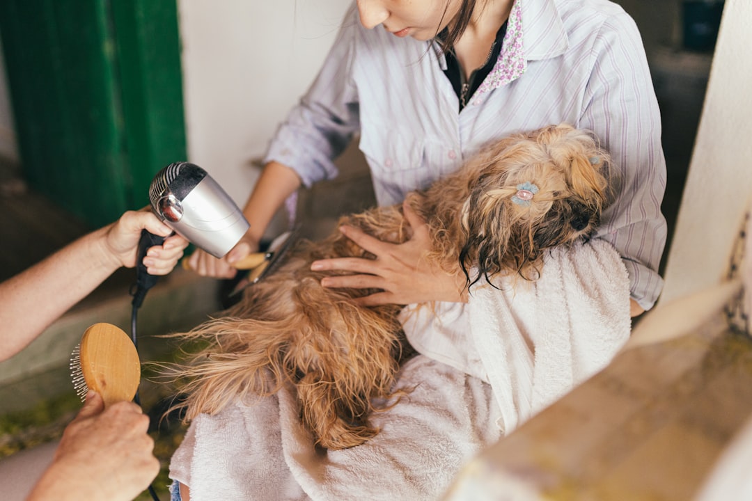 Routine Health Checks and Gentle Massage (image credits: unsplash)