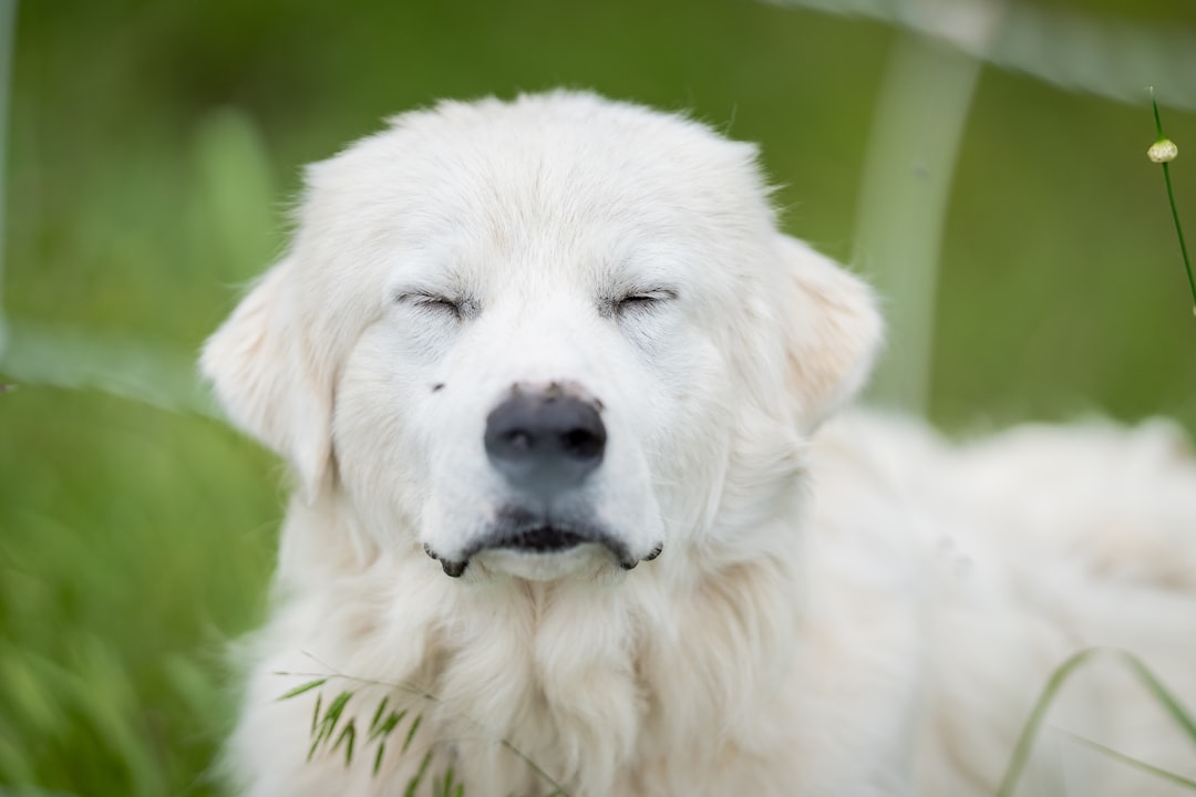 They're Avoiding Eye Contact or Turning Away (Image Credits: Unsplash)