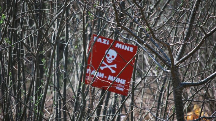 Chickens in the Crosshairs: Britain’s Wild Nuclear Mine Plot During the Cold War
