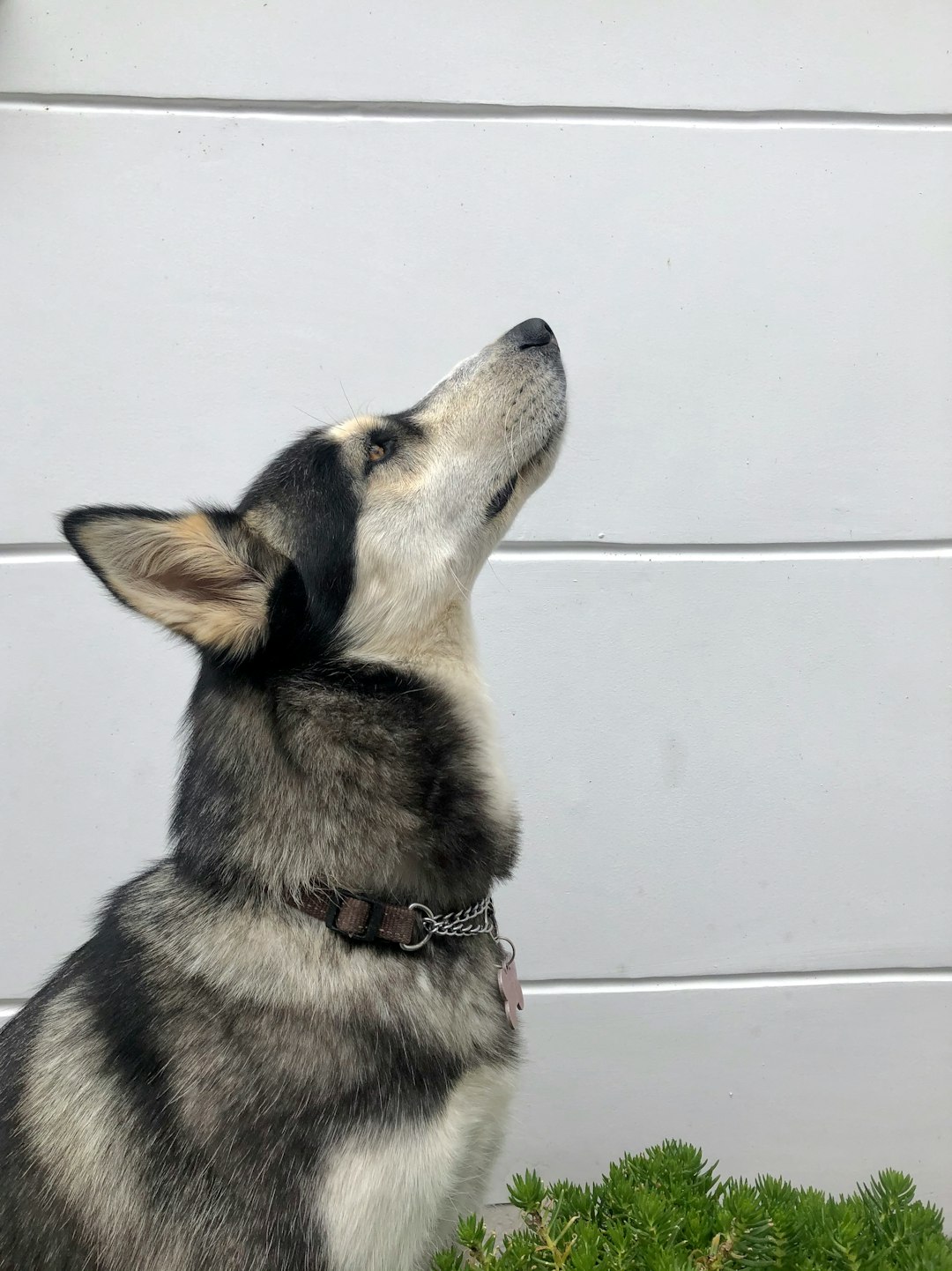 The Detective Work Behind Those Intense Stares (Image Credits: Unsplash)