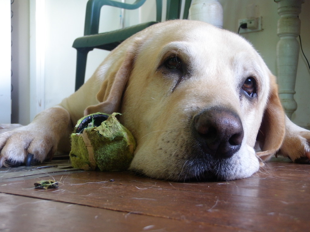 The Hidden Danger of Seizure Activity (Image Credits: Flickr)