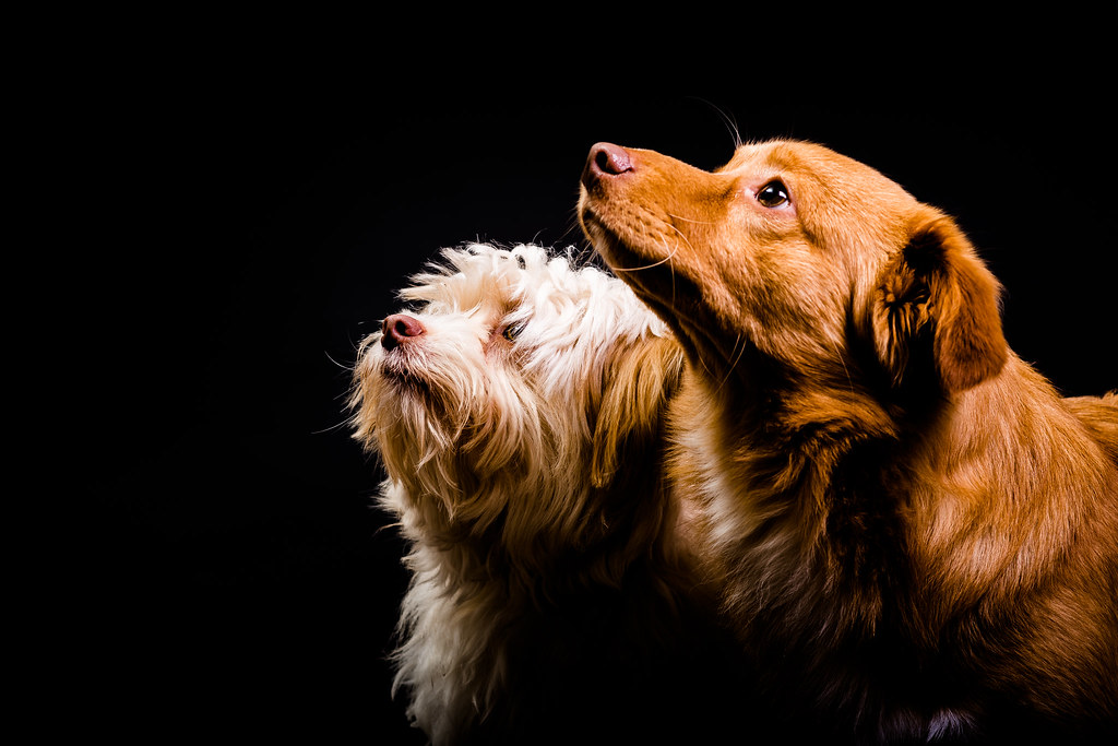 Stress and Anxiety Manifesting in Strange Ways (Image Credits: Flickr)