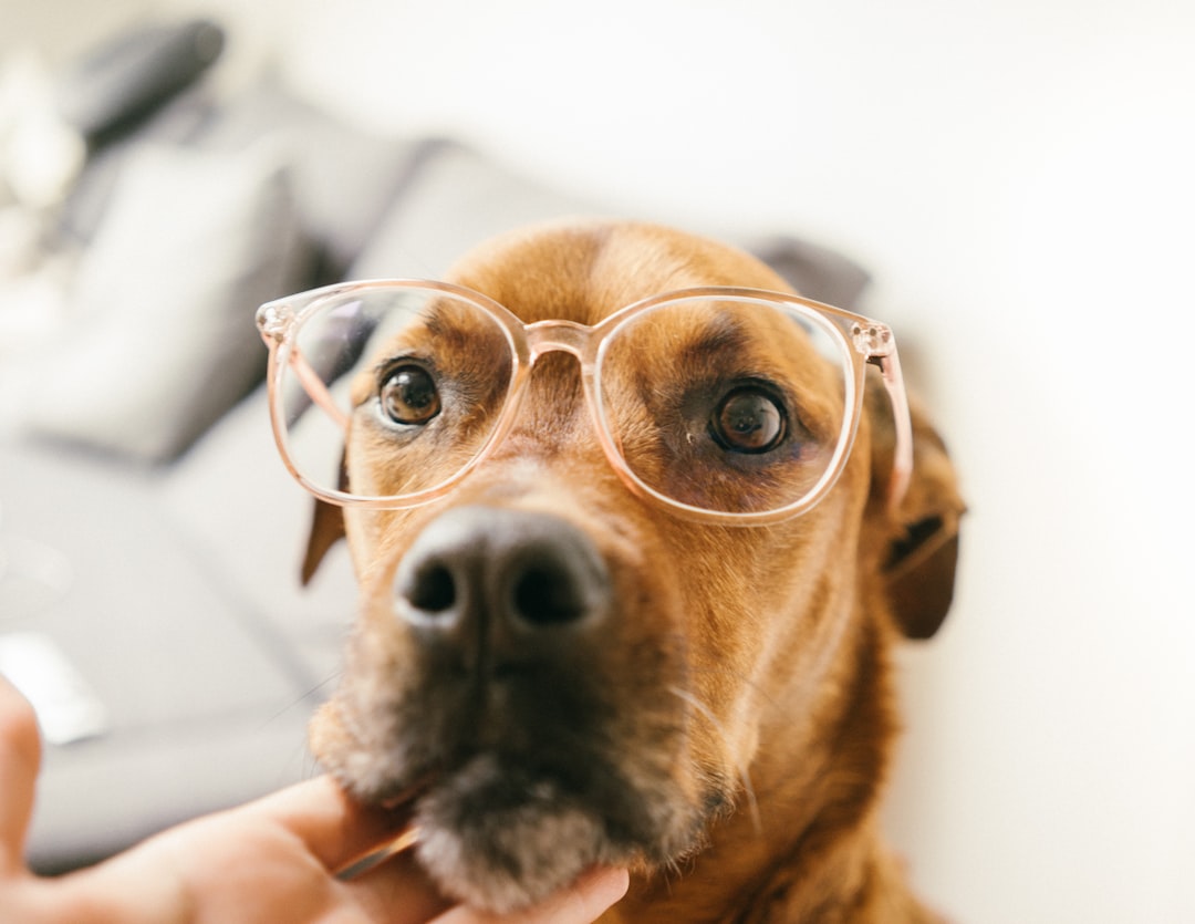 Vision Problems Creating Disorientation (Image Credits: Unsplash)